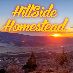 Hillside Homestead net worth