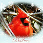 Loretta Ayers - The Cardinal Lady YouTube Profile Photo