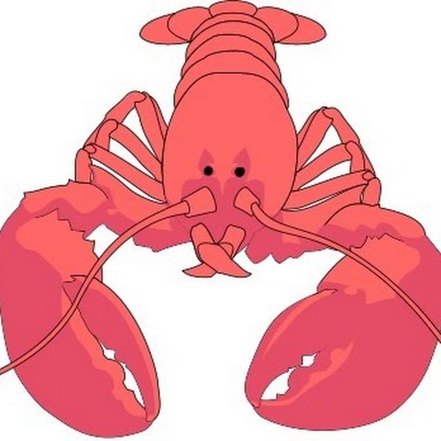 Что значит ракал. Дота 1. Что значит ракал. Ракал прикол. Troll warlord dota 1.