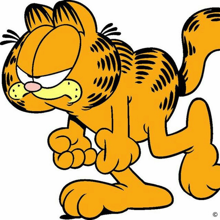 Garfield The Cat.