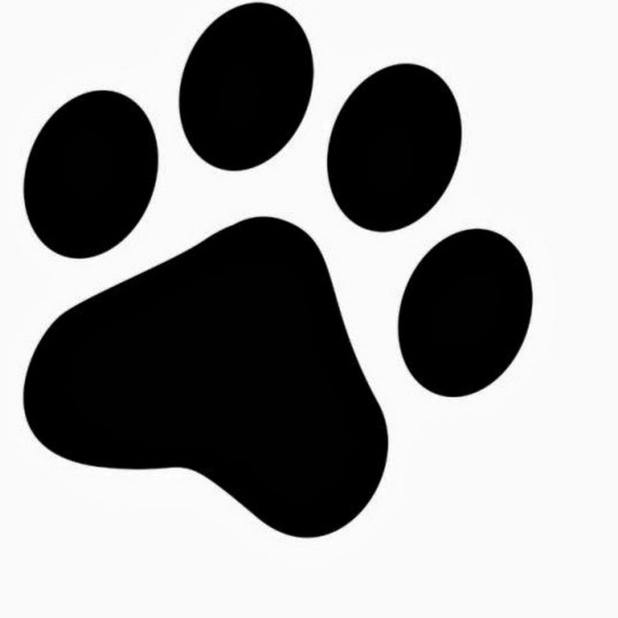 Картинка лапа для детей на прозрачном фоне