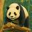 Think Yeom