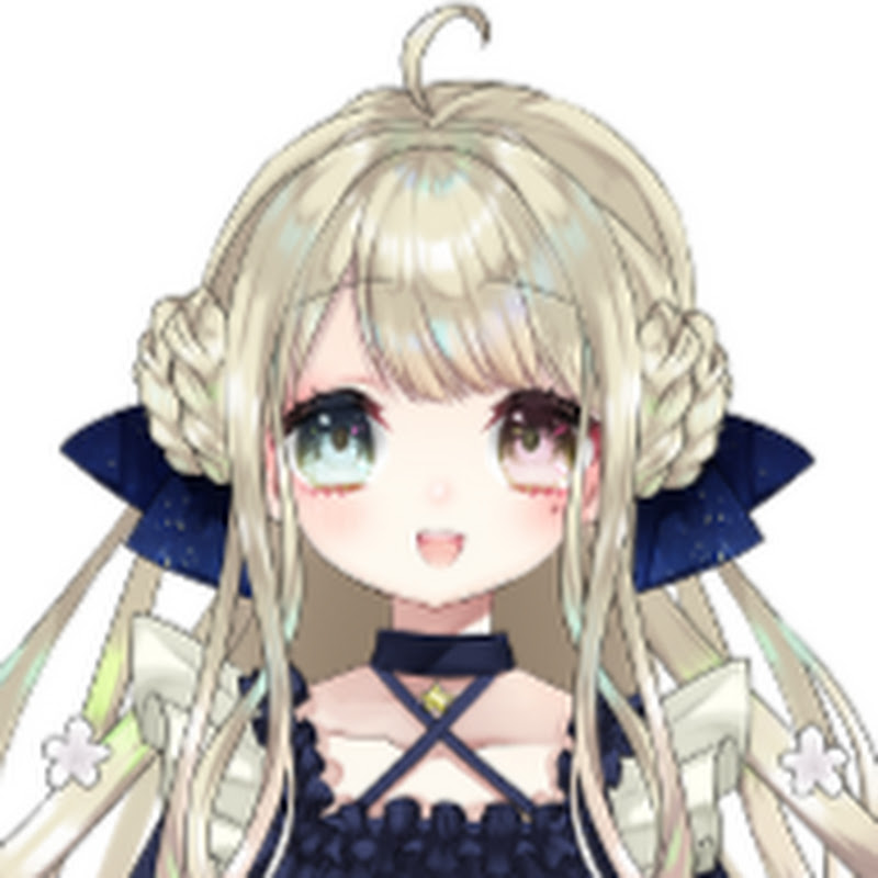 幕末志士脱退後 西郷改め そっしー の現在 Youtuber665