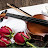 Top Violin Songs