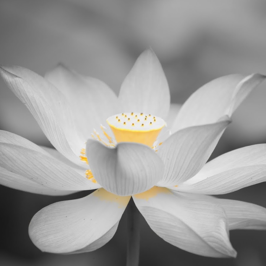 The Mind Of The Valley Youtube