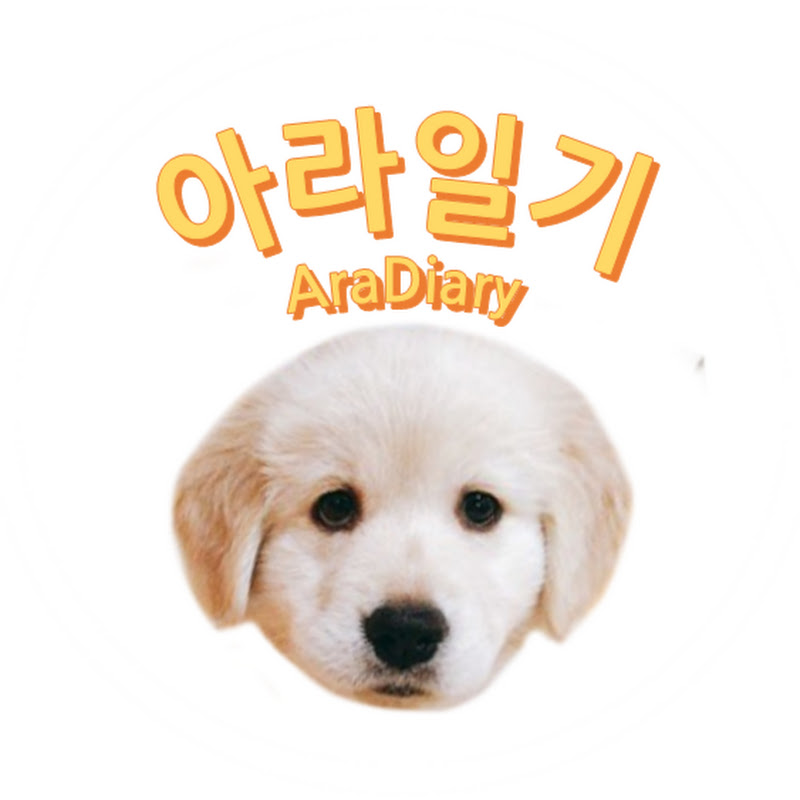 아라일기/Golden retriever Ara Diary