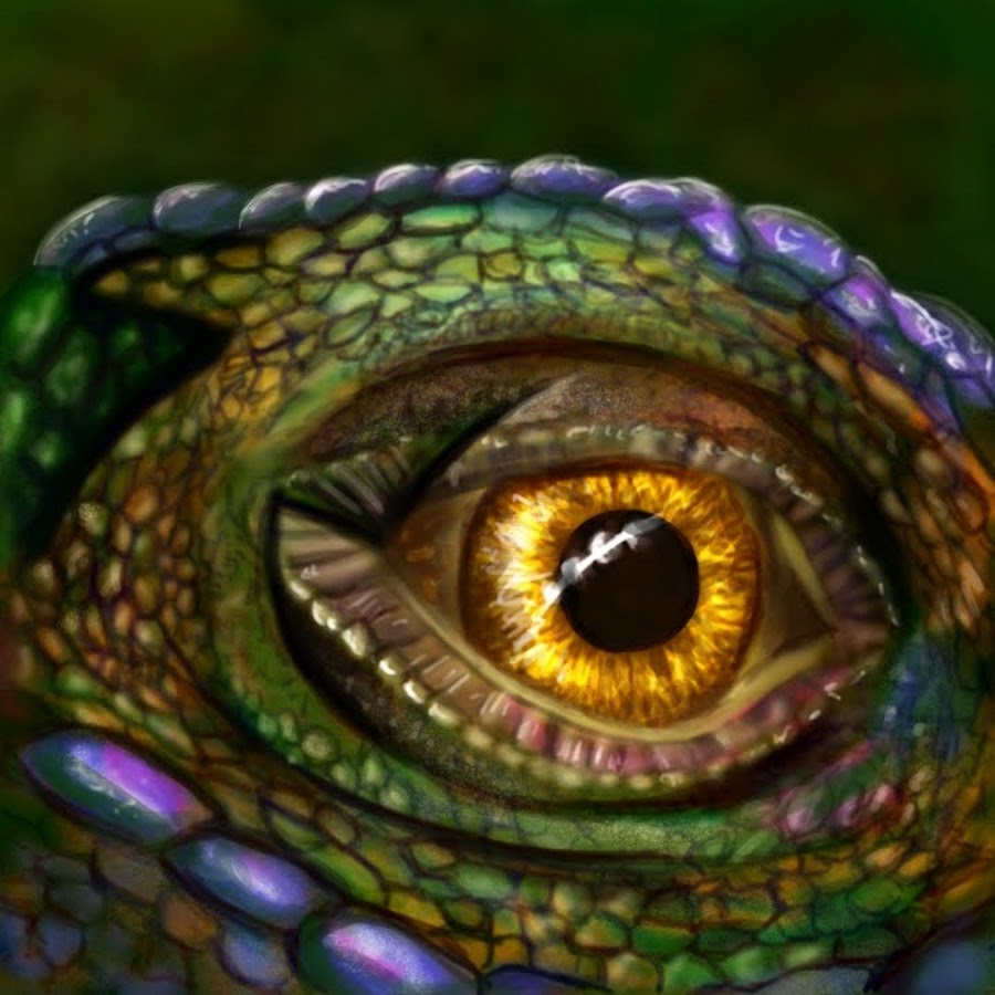 Прозрачные веки у змей. Глаз рептилии. Глаза змеи. Глаз ящерицы. Зрачок змеи.
