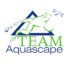 TEAM Aquascape thumbnail