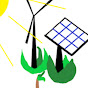 Hornsby Shire Climate Action HSCA YouTube Profile Photo