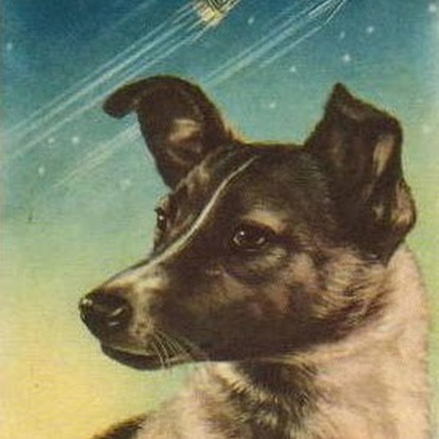 Собака лайка в космосе