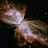 신들의정원 cosmos