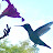 TierraSagradaJardin Avatar
