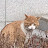 옹옹