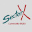 Sector X Radio