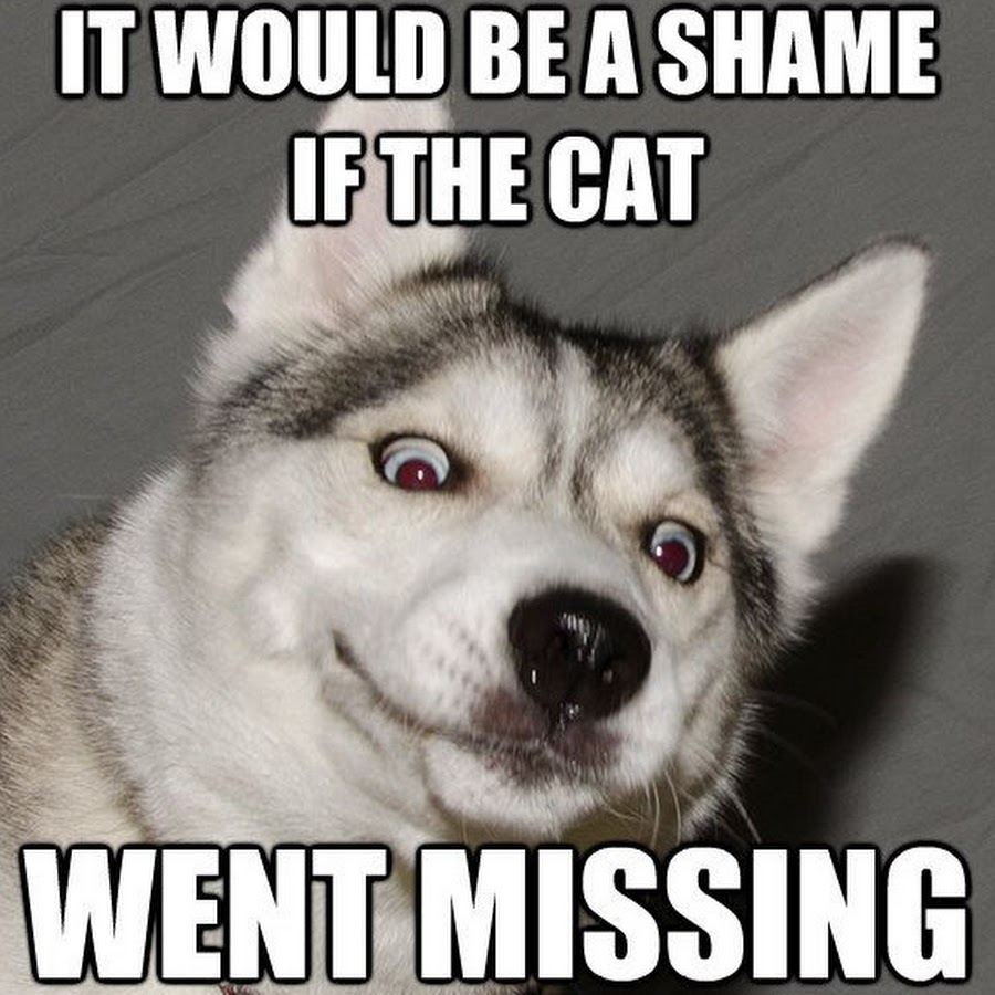 Husky memes
