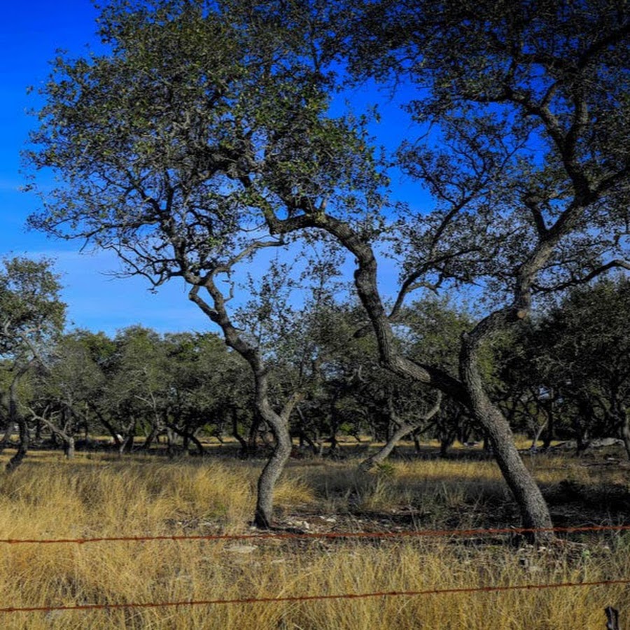 AKedOLTiiLriXZndmnPNMqtIlH3F4kxgFtoWm1FoVyM=s900ckc0x00ffffffnorj