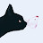 Dummy Cat