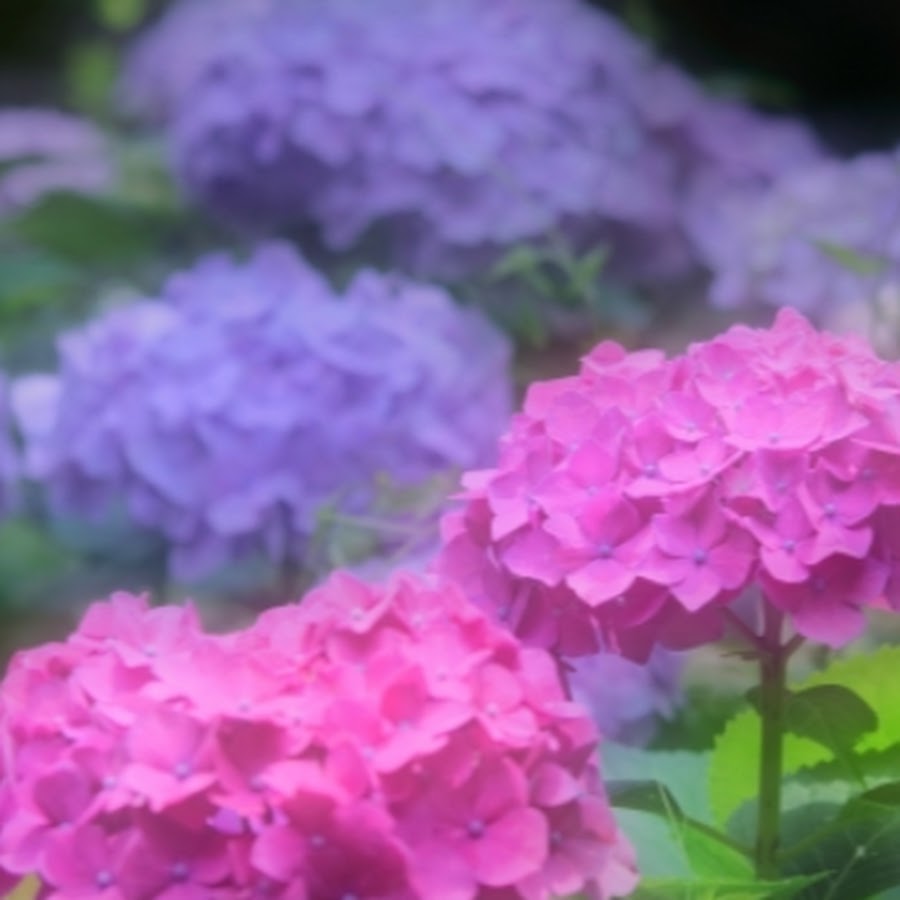 本要約 明日も元気になれる本紹介 Youtube