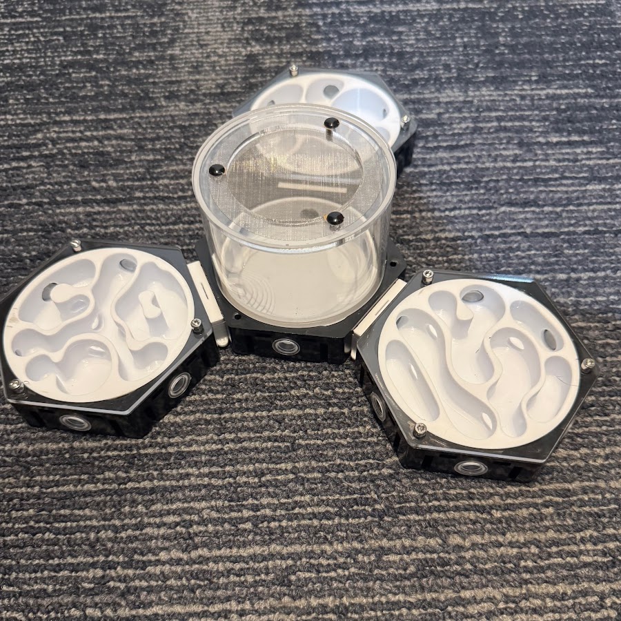 10年間刑務所に入ってた人 Youtube