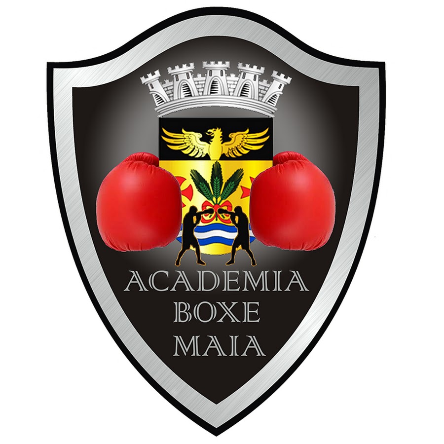 Academia de