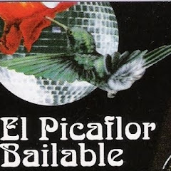 El Picaflor Bailable thumbnail