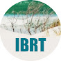 IBRT YouTube Profile Photo