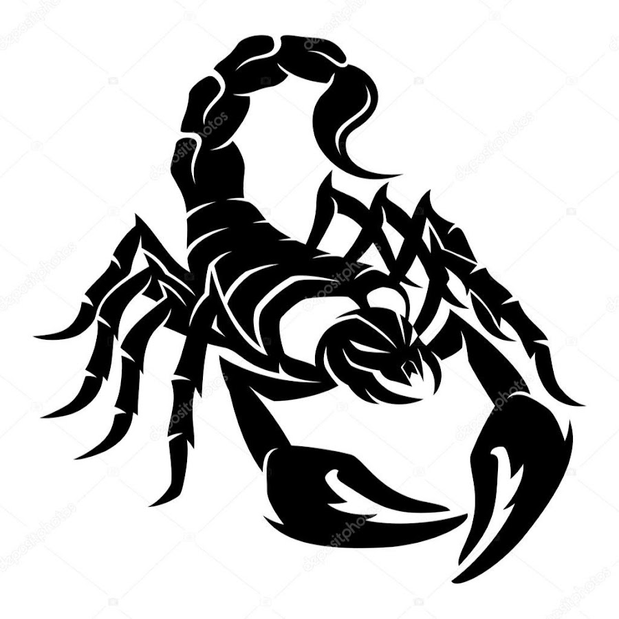 Скорпион черно белый рисунок