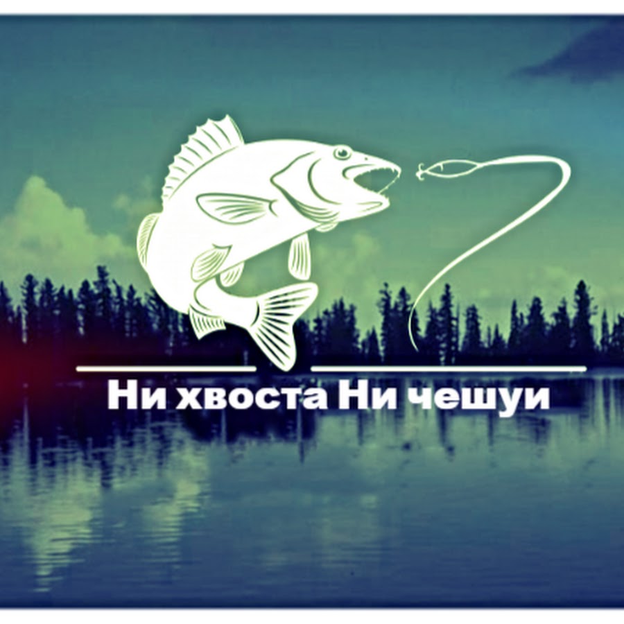 Ни хвоста ни чешуи картинки для рыбака прикольные