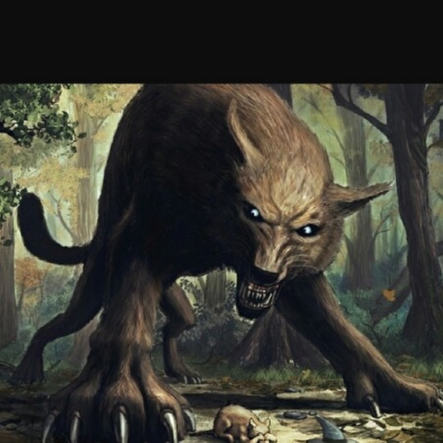 враг животного. дикобраз гепард. львица охотится. дикобраз и леопард. смилодон популятор.