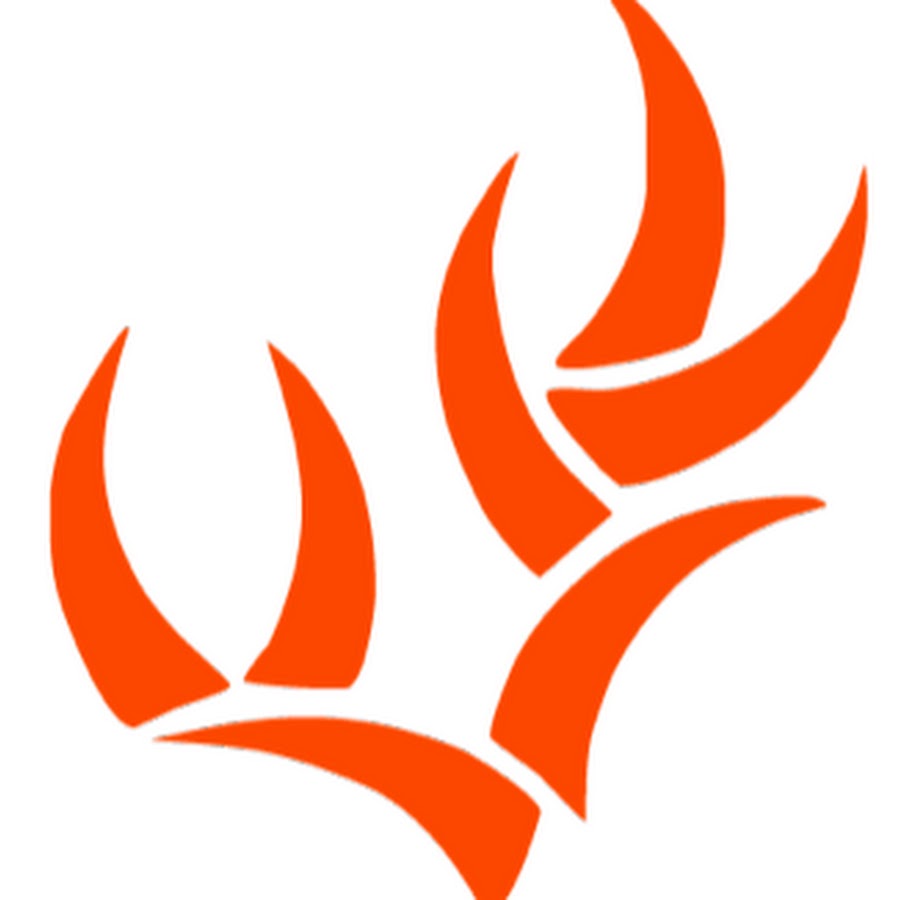 Whitetail Heaven Youtube