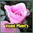 Vaani Plant's