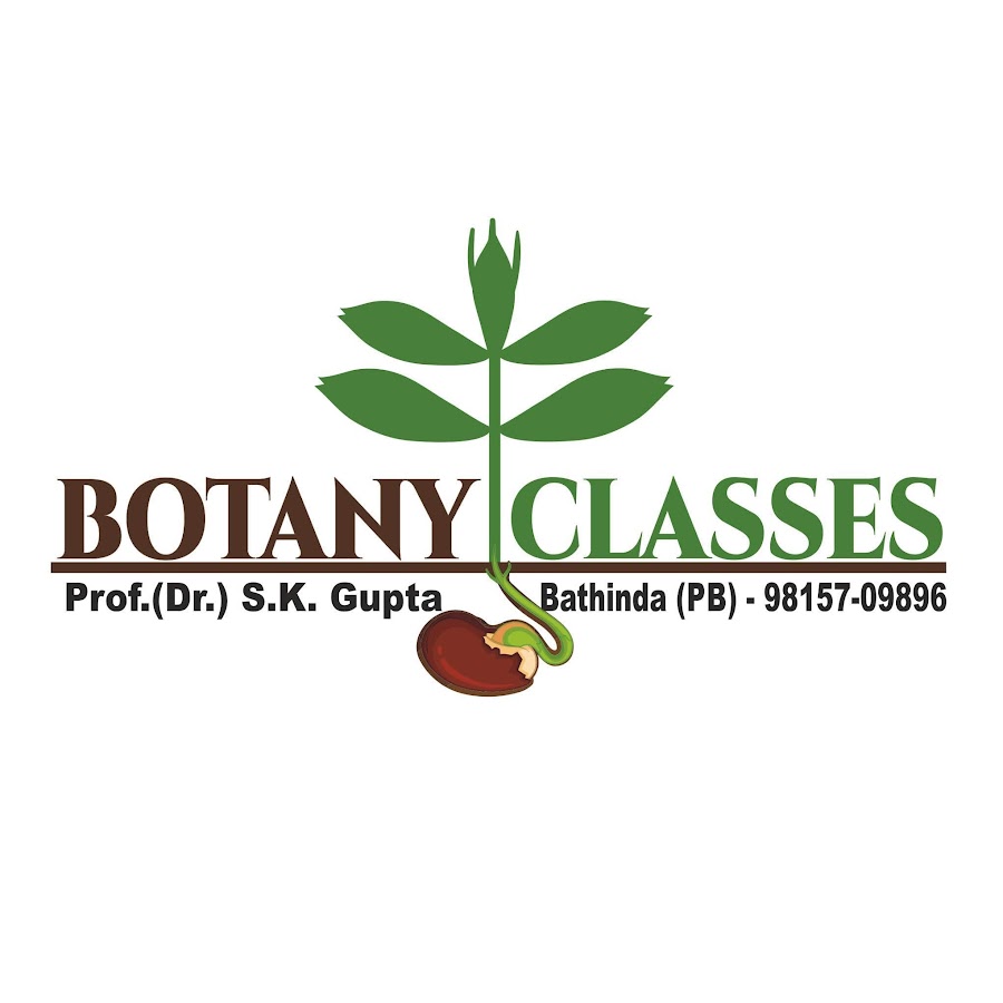 AKedOLTldvHYXylr9HaitegQnSNtiBoYZnMB8Ty7nyC=s900ckc0x00ffffffnorj