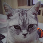Bin Guo