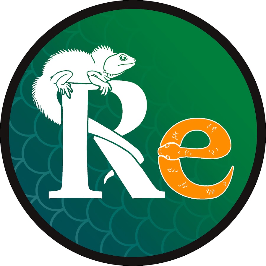 AKedOLTm1eF0z74vHU2c77bzbp0TkrcmRPvT7D5NRm=s900ckc0x00ffffffnorj