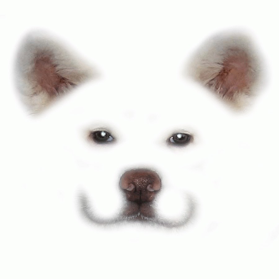 秋田犬げんき Youtube