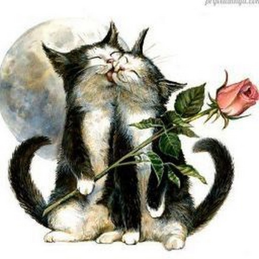 Кот рисунок