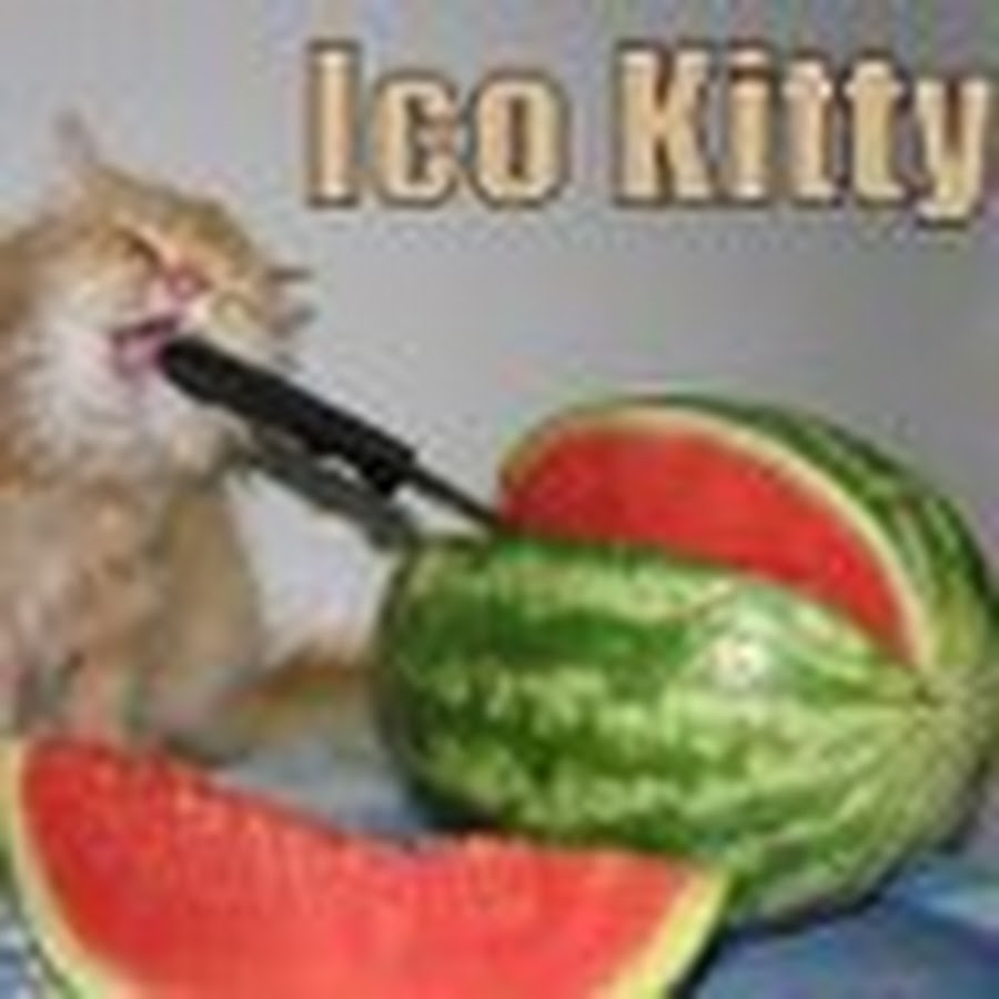 Кот на арбузе мем. Кот на арбузе. Котенок и Арбуз. Арбузный кот. Кот кушает Арбуз