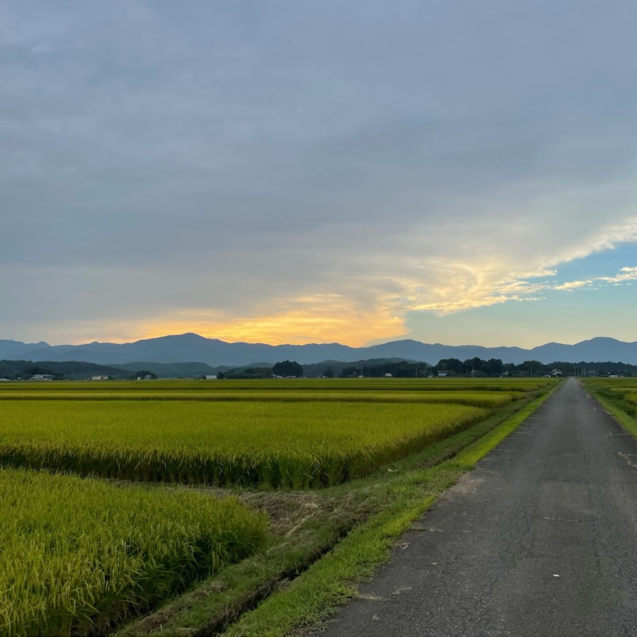 どいやさん Youtube