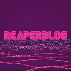 The REAPER Blog net worth