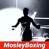 What could MosleyBoxing buy with $453.8 thousand?