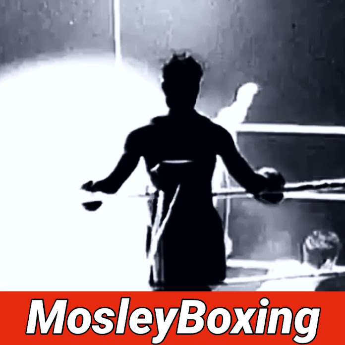 MosleyBoxing Net Worth & Earnings (2024)