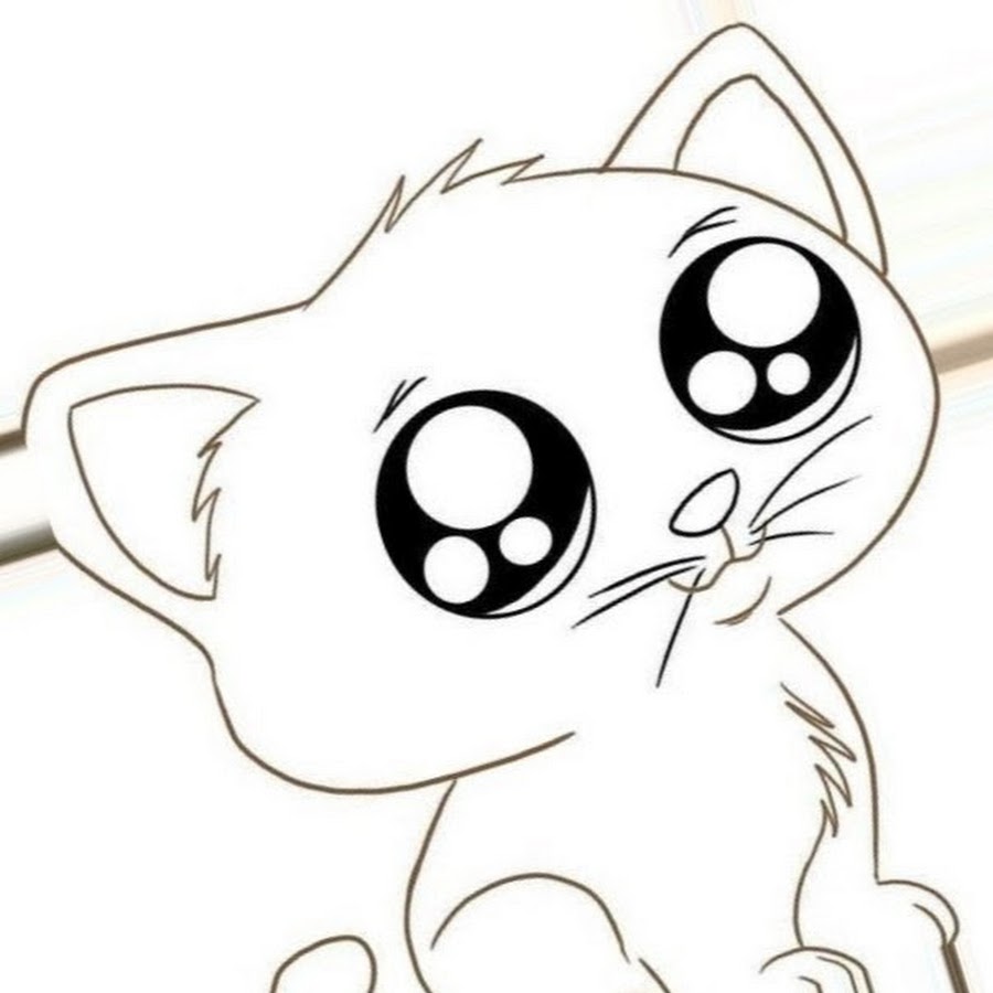 Милый котик рисунок черно белый