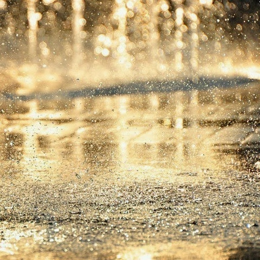Дождик ласково. Золотой ливень. Golden дождь. Нежный дождь. Фотография золотого дождик.