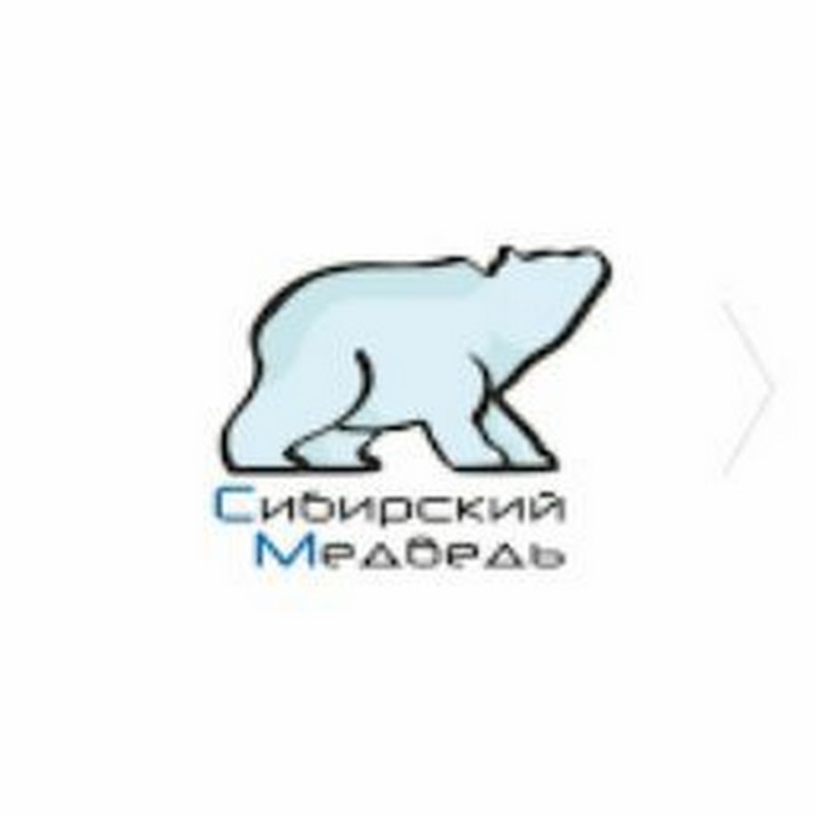 Сибирский медведь. Интернет-провайдер Сибирский медведь. Скорость интернета сибирский медведь