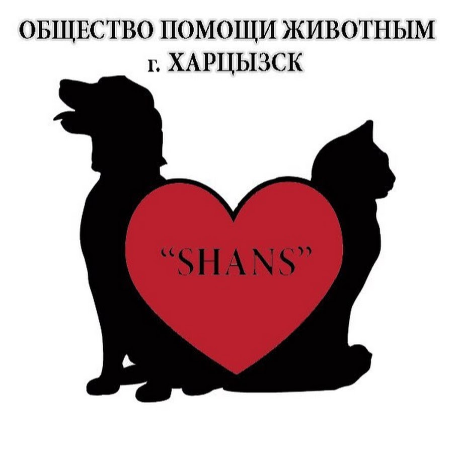 Защита животных. Общество зверей. Помощь бездомным животным рисунки. Помощь животным общества. Помощь животным.