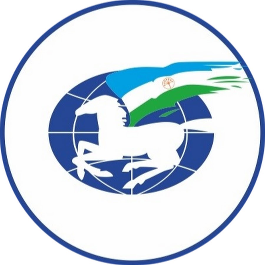 Эльвира Аиткулова: "Движение башкирских родов приобретёт юридический статус"