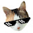 유캣두잇 u CAT do it
