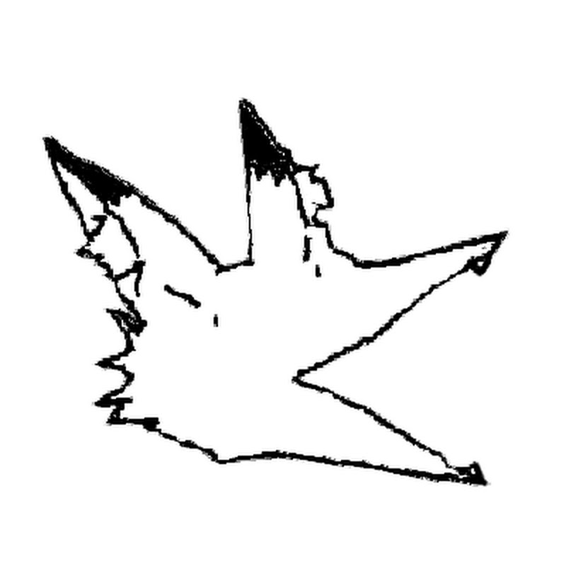 R皮 - 網紅的藏寶箱 