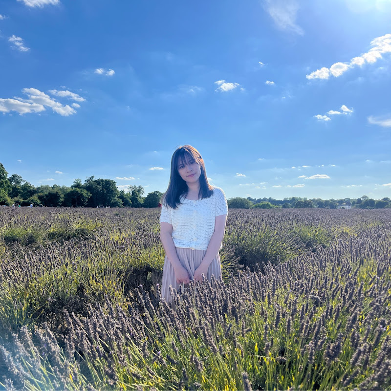 Jaime Ho - 網紅的藏寶箱 