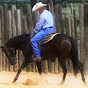 HorseTrainingChannel YouTube Profile Photo